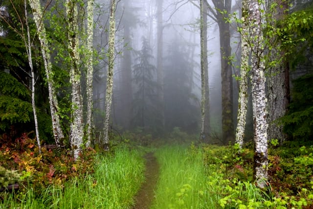 Trail blazing