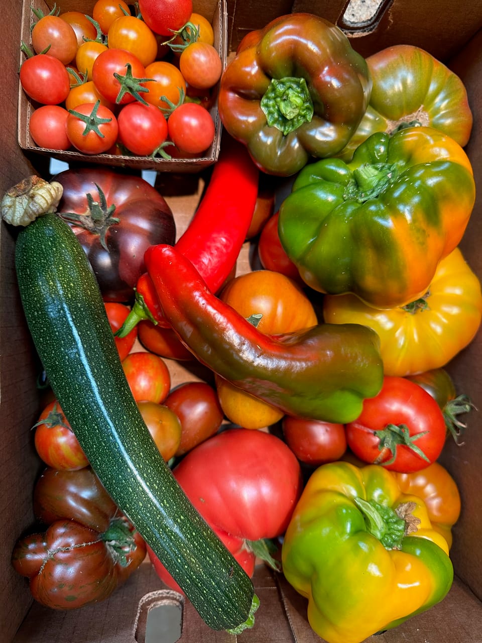 Summer bounty